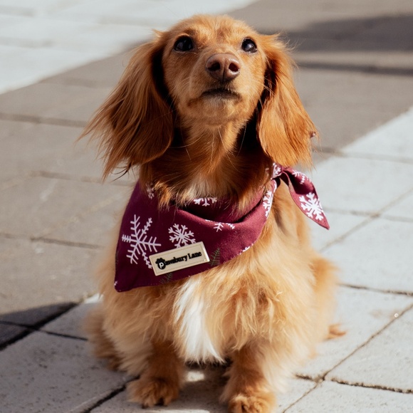 Meet your Posher, Chelsea & Brooklyn - Picture 2 of 6